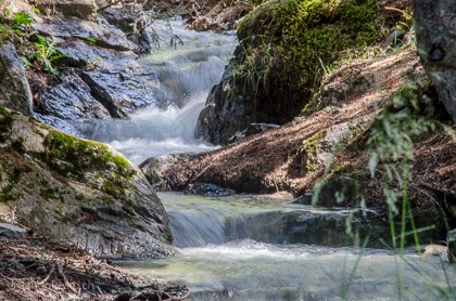 Bisse du Tsittorret