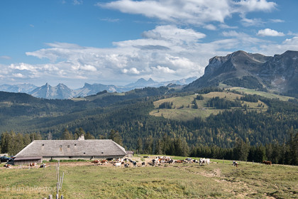 Image de la RandoResto
