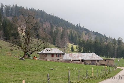 La Thiole